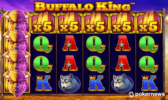 Play Buffalo King at Pulsz Social Casino