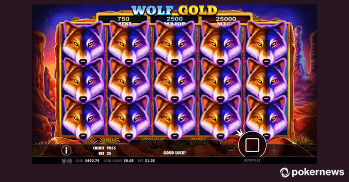 wolf gold slot